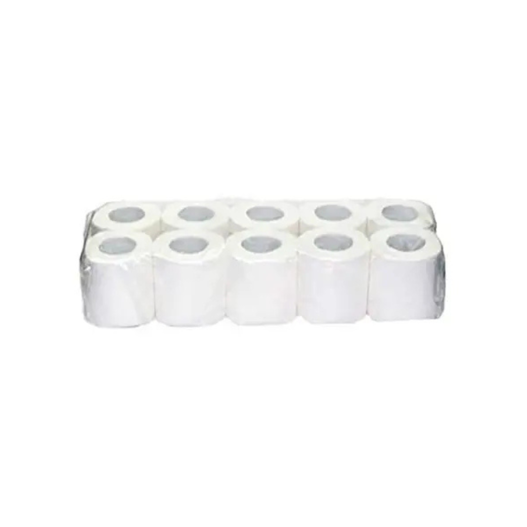 Toilet Roll 300 sheets 10x10 rolls (1 carton)